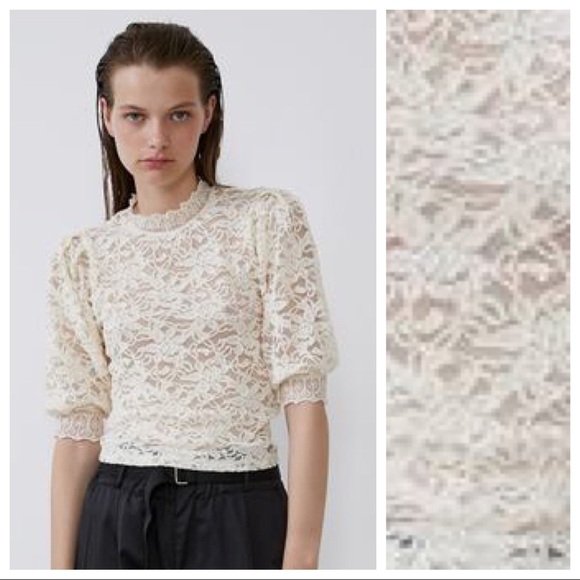 Zara Tops - NWT. Zara Champagne Lace Top. Size L.